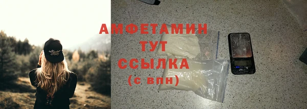 прущие грибы Абаза