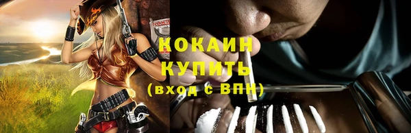 прущие грибы Абаза