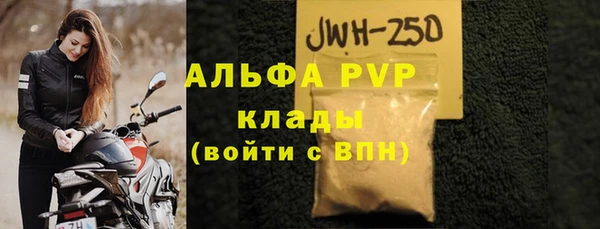 прущие грибы Абаза