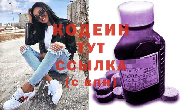 индика Рославль