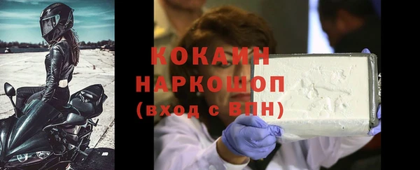 прущие грибы Абаза