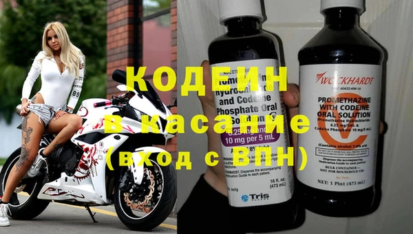 прущие грибы Абаза