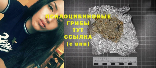 прущие грибы Абаза