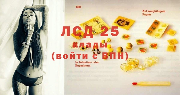 прущие грибы Абаза
